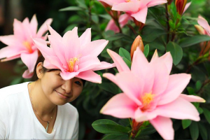 心语花开，情感咨询师的深夜絮叨